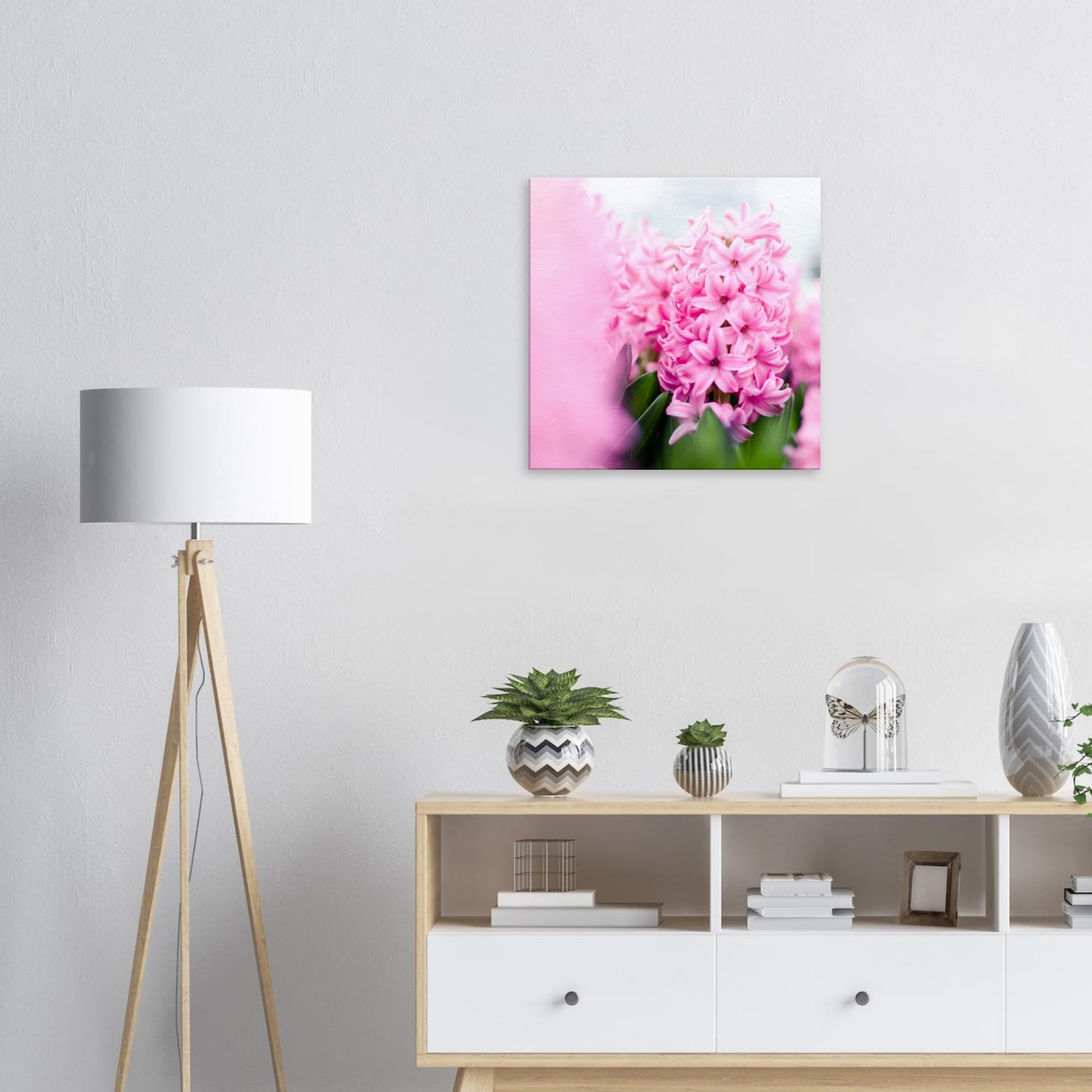 Pink Hyacinth