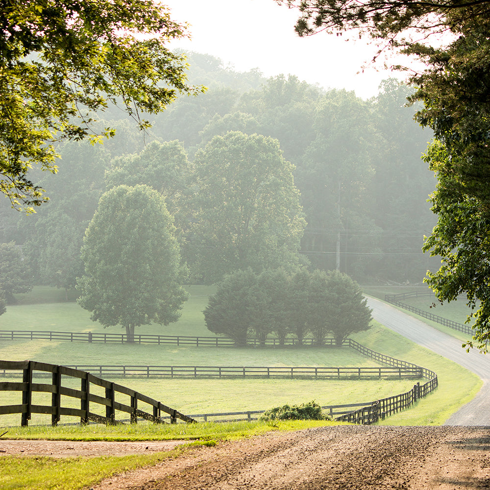 Farm Road