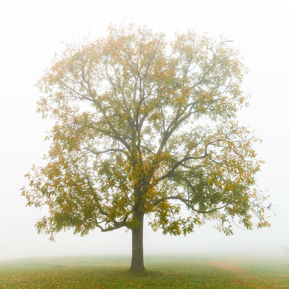 Season of New Beginnings